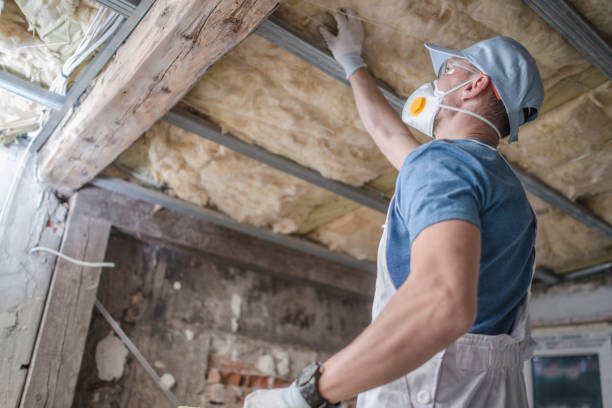 Best Energy-efficient Insulation  in Flora, IL