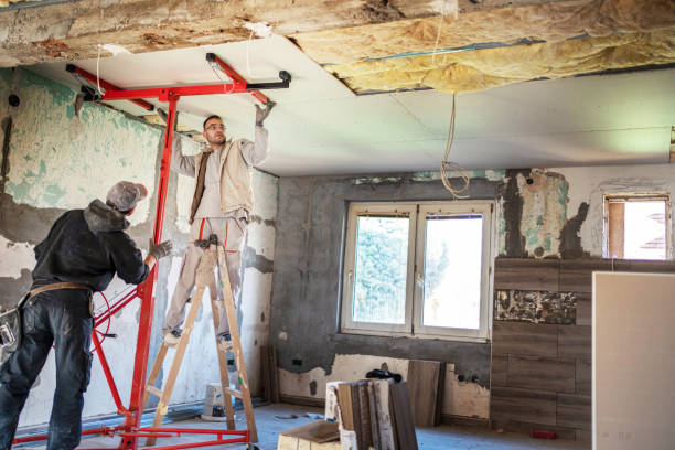 Best Insulation Removal  in Flora, IL