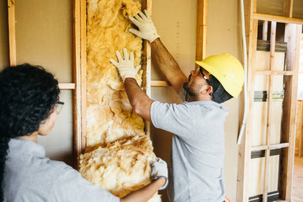 Best Insulation Contractors for Homes  in Flora, IL