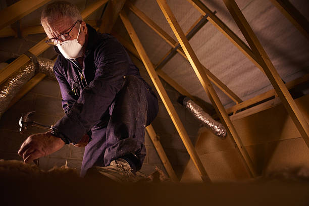 Best Insulation Contractors for Homes  in Flora, IL